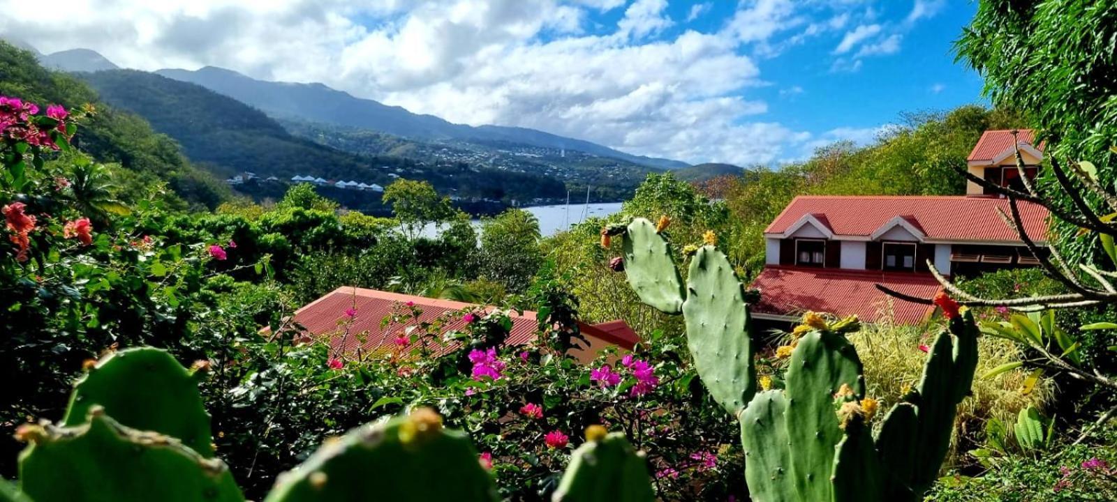 Villa Bungalow Et Duplex De Island Bay Bouillante Exterior foto